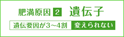 肥満原因2 遺伝子 遺伝要因が3～4割 変えられない