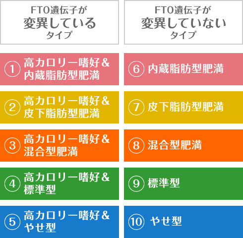 FTO遺伝子が変異しているタイプ ①高カロリー嗜好＆内蔵脂肪型肥満 ②高カロリー嗜好＆皮下脂肪型肥満 ③高カロリー嗜好＆混合型肥満 ④高カロリー嗜好＆標準型 ⑤高カロリー嗜好＆やせがた FTO遺伝子が変異していないタイプ ⑥内蔵脂肪型肥満 ⑦皮下脂肪型肥満 ⑧混合型肥満 ⑨標準型 ⑩やせ型